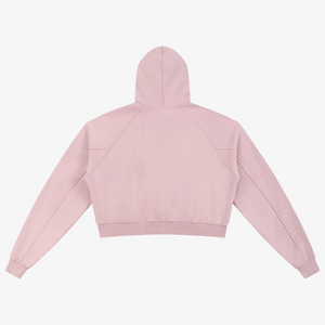 IREP Stealth Wealth Snow Washed Cropped Hoodie  iRepBrand